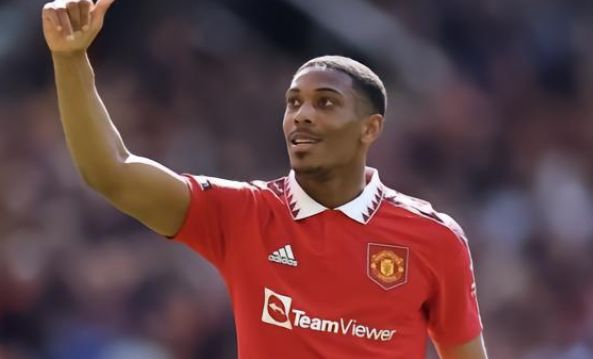 为了本年度 为了本年度